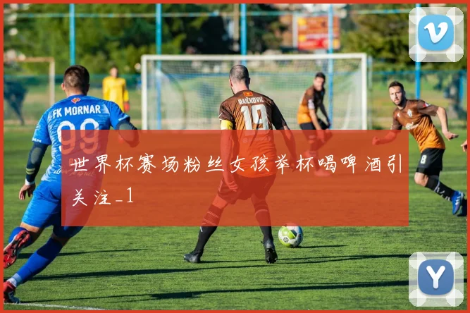 世界杯赛场粉丝女孩举杯喝啤酒引关注_1