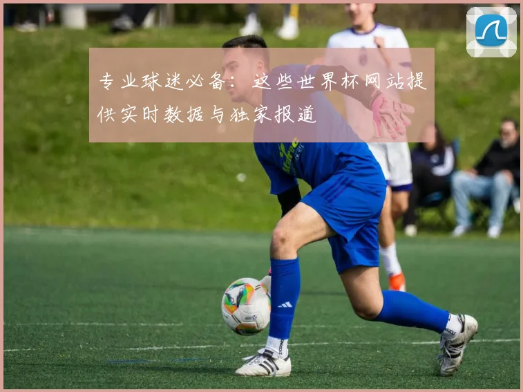 专业球迷必备：这些世界杯网站提供实时数据与独家报道