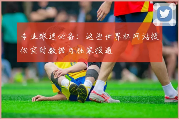 专业球迷必备：这些世界杯网站提供实时数据与独家报道