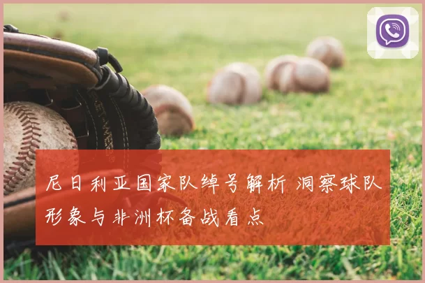 尼日利亚国家队绰号解析 洞察球队形象与非洲杯备战看点