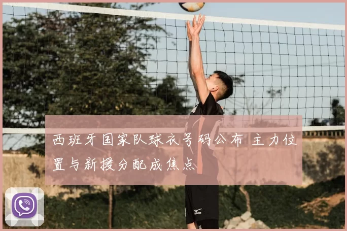 西班牙国家队球衣号码公布 主力位置与新援分配成焦点