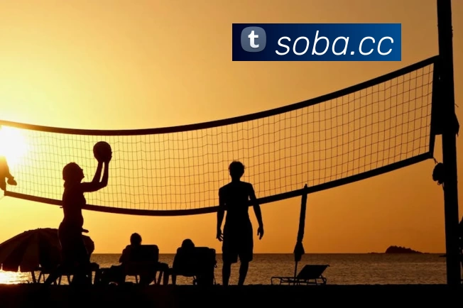 App Interface Preview